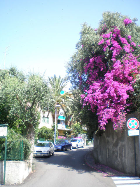Via Manni Arenzano